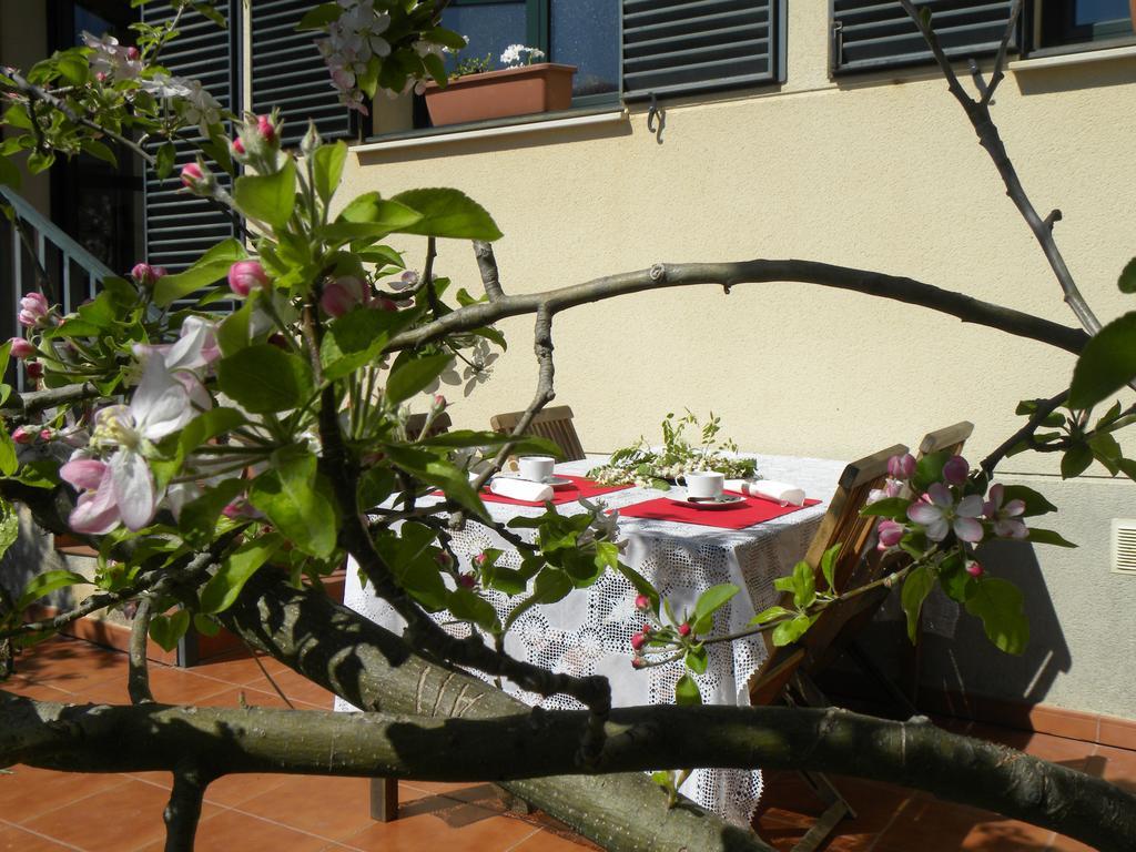 Apartment El Jardin De Los Gatos *