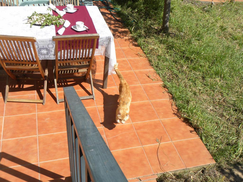 Apartment El Jardin De Los Gatos
